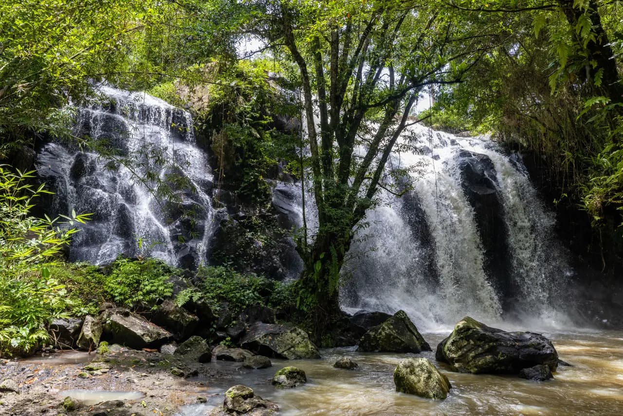 Serene tropical waterfall surrounded by lush greenery and rocks in natural forest setting
