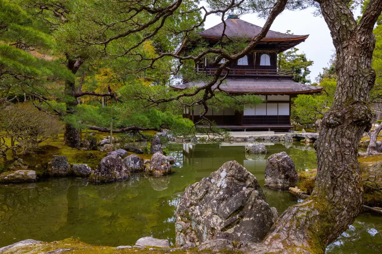 Traditional japanese temple architecture with zen garden pond and pine trees in kyoto japan