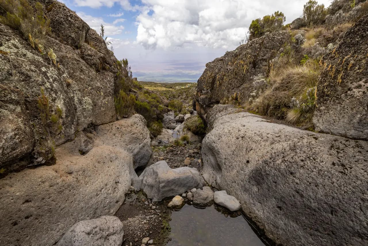 Scenic mountain stream flowing through rocky canyon landscape
